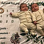 Mylan Et Lorenzo participe au concours pour gagner de l'argent avec cette photo : baby, infant, two_babies, milestone_blanket, numbers, wooden_ring, knit_clothing, matching_outfits, lying_down, cute, calm, cozy, animal_illustration, leaves, milestone_marker, soft_blanket, indoor, child, portrait, face
