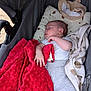 Elio participe au concours pour gagner de l'argent avec cette photo : baby, sleeping, stroller, blanket, red_blanket, onesie, knitted_pants, hat, infant, peaceful, soft_toys, cozy, resting, child, newborn, fabric, comfort, nap, cute, indoor