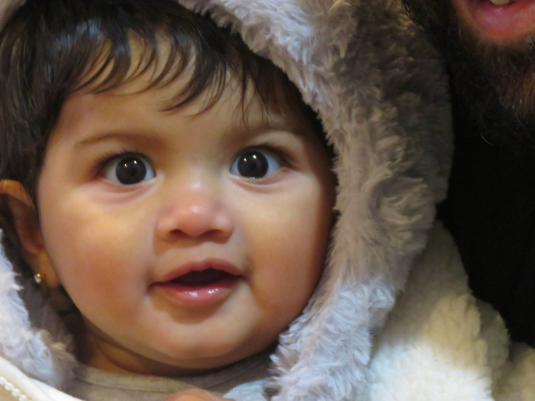 Jenelle is registered to the contest to win money with this photo: baby, cheek, child, chin, close_up, eye, eyebrow, face, facial_expression, forehead, fur, hair, head, iris, lip, mouth, nose, person, skin, smile