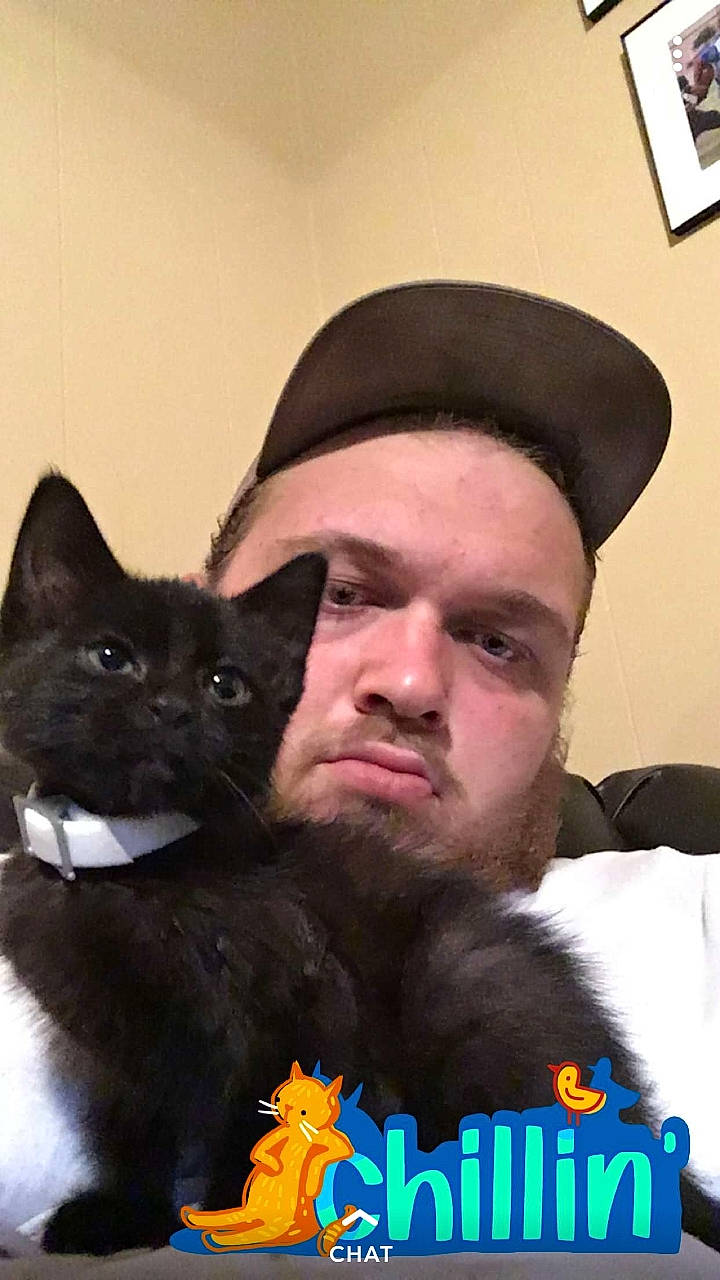 Boo is registered to the contest to win money with this photo: asian, black_cat, bombay, carnivore, cat, felidae, headgear, mammal, photo_caption, small_to_medium_sized_cats, snout, whiskers