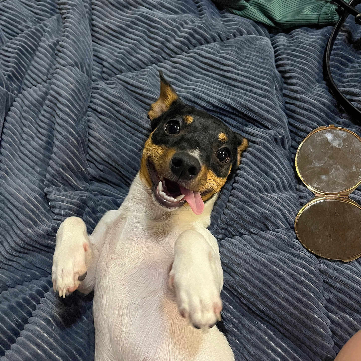Lulu