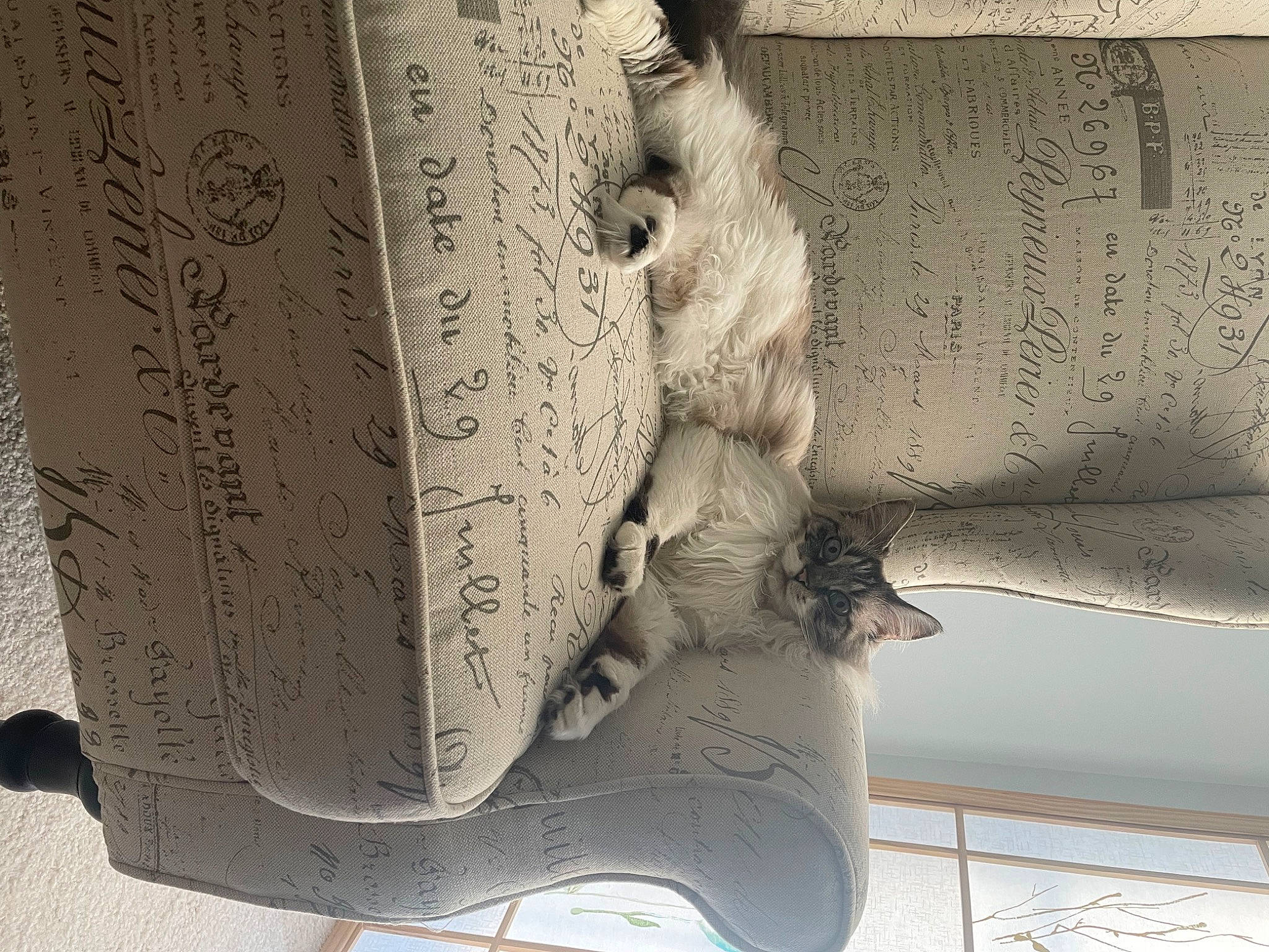 Alley joined the competition — help win amazing prizes! ancient_history, art, artifact, carving, column, font, history, human_leg, monochrome, monochrome_photography, paper, paper_product, pattern, relief, sculpture, stone_carving, thigh, visual_arts, waist, wood