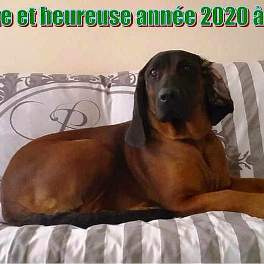 Mercure