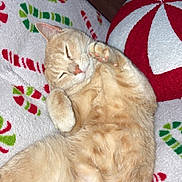 Marlow joined the competition — help win amazing prizes! blanket, cat, christmas_theme, cozy, curled_up, cute, decor, feline, fluffy, holiday, indoor, napping, orange_tabby, paws, peppermint_pillow, pet, relaxing, resting, sleeping, soft