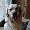 Flocon participe au concours pour gagner de l'argent avec cette photo :