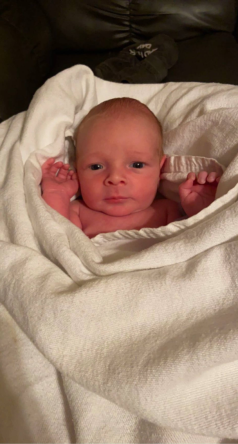 Koby joined the competition — help win amazing prizes! baby, baby_products, baby_toddler_clothing, bedtime, cheek, child, chin, comfort, event, eye, eyebrow, fur, head, linens, lip, mouth, nose, person, room, skin