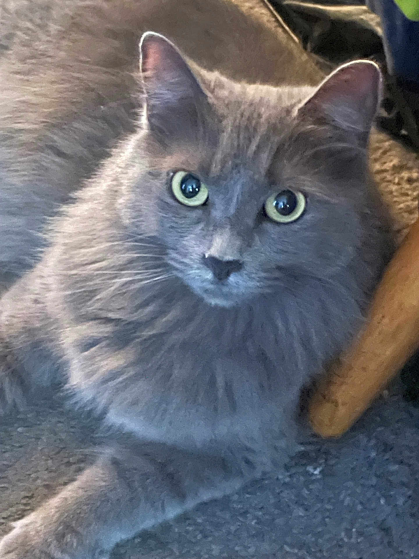 Ghost