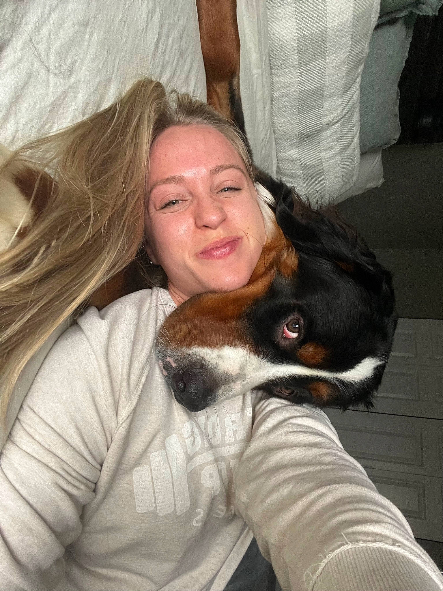 Barney joined the competition — help win amazing prizes! arm, blond, brown_hair, carnivore, comfort, companion_dog, dog, dog_breed, ear, fawn, fun, fur, gesture, happy, long_hair, mouth, nose, smile, snout, sporting_group