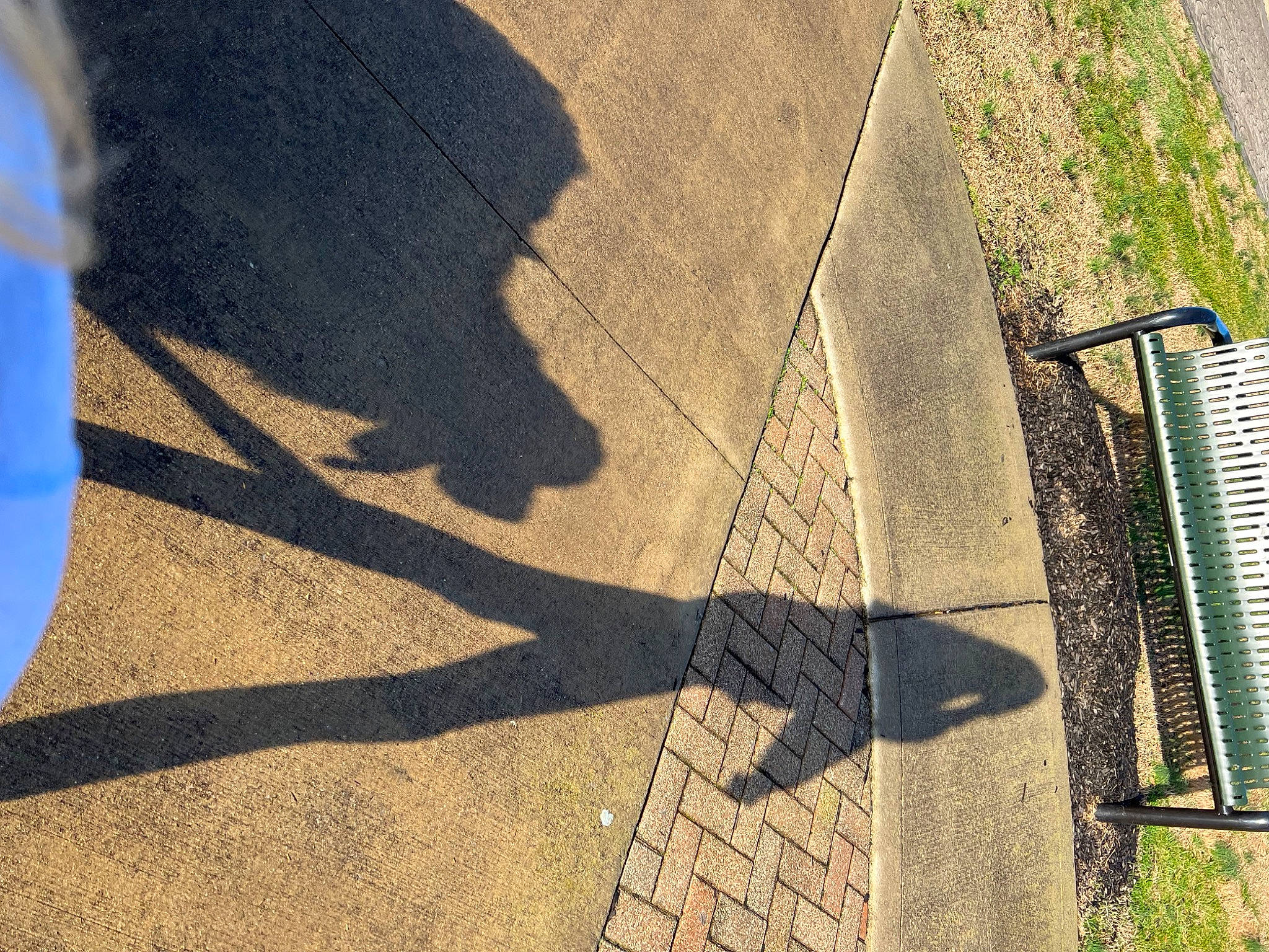 Barney is registered to the contest to win money with this photo: asphalt, chair, city, concrete, floor, flooring, grass, grass_family, human_leg, landscape, mesh, plant, road, road_surface, shade, sidewalk, tar, tints_and_shades, wall, wood
