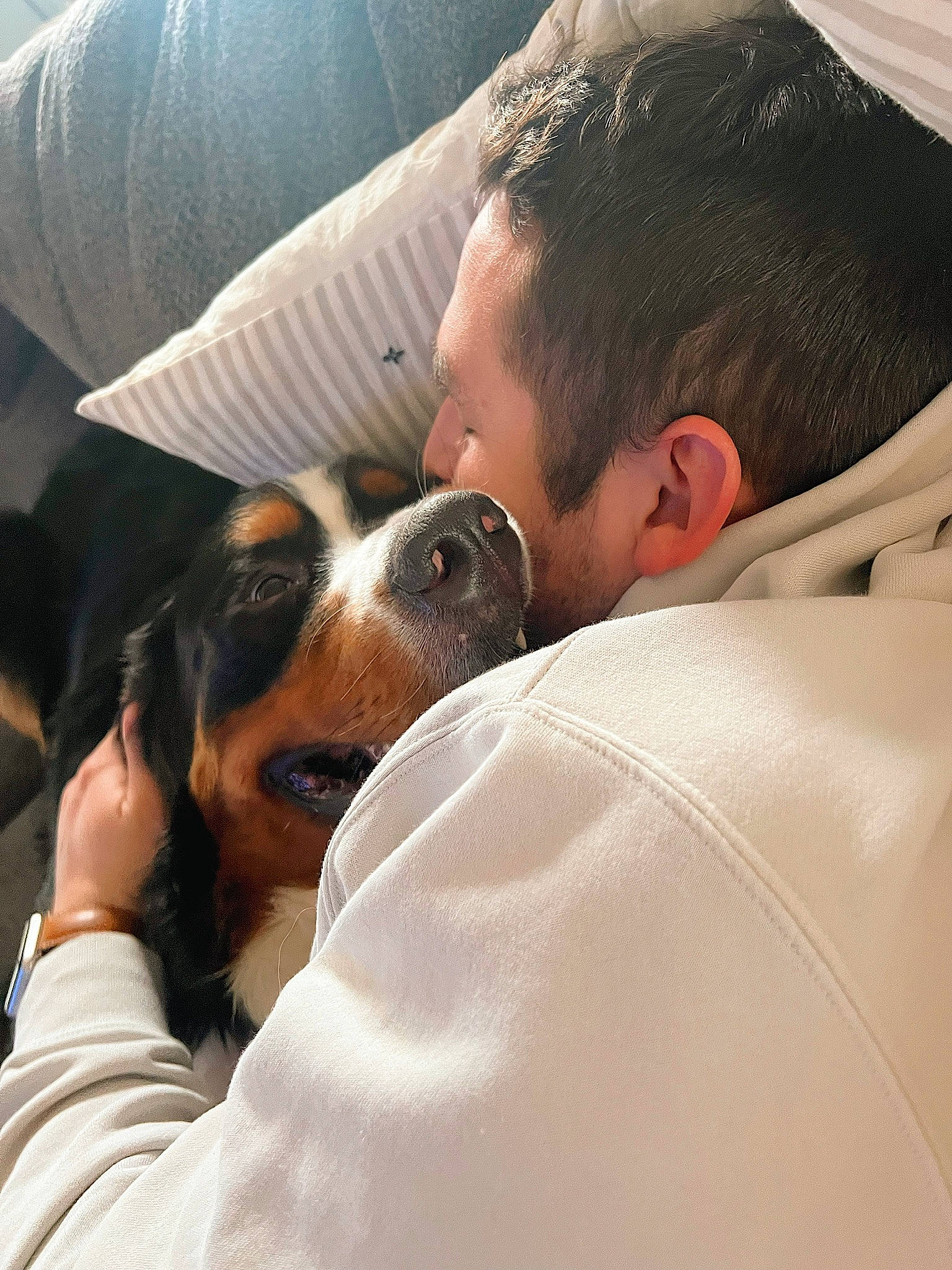 Barney joined the competition — help win amazing prizes! canidae, carnivore, comfort, companion_dog, dog, dog_breed, ear, event, eyewear, facial_hair, fur, gesture, glasses, happy, love, service, sporting_group, sunglasses, vertebrate, vision_care