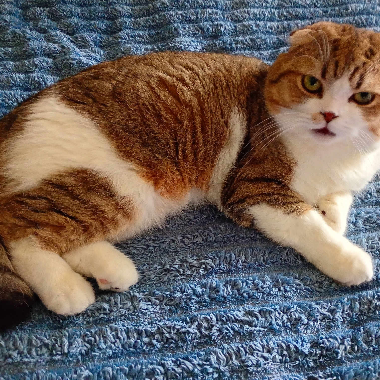 Caramel