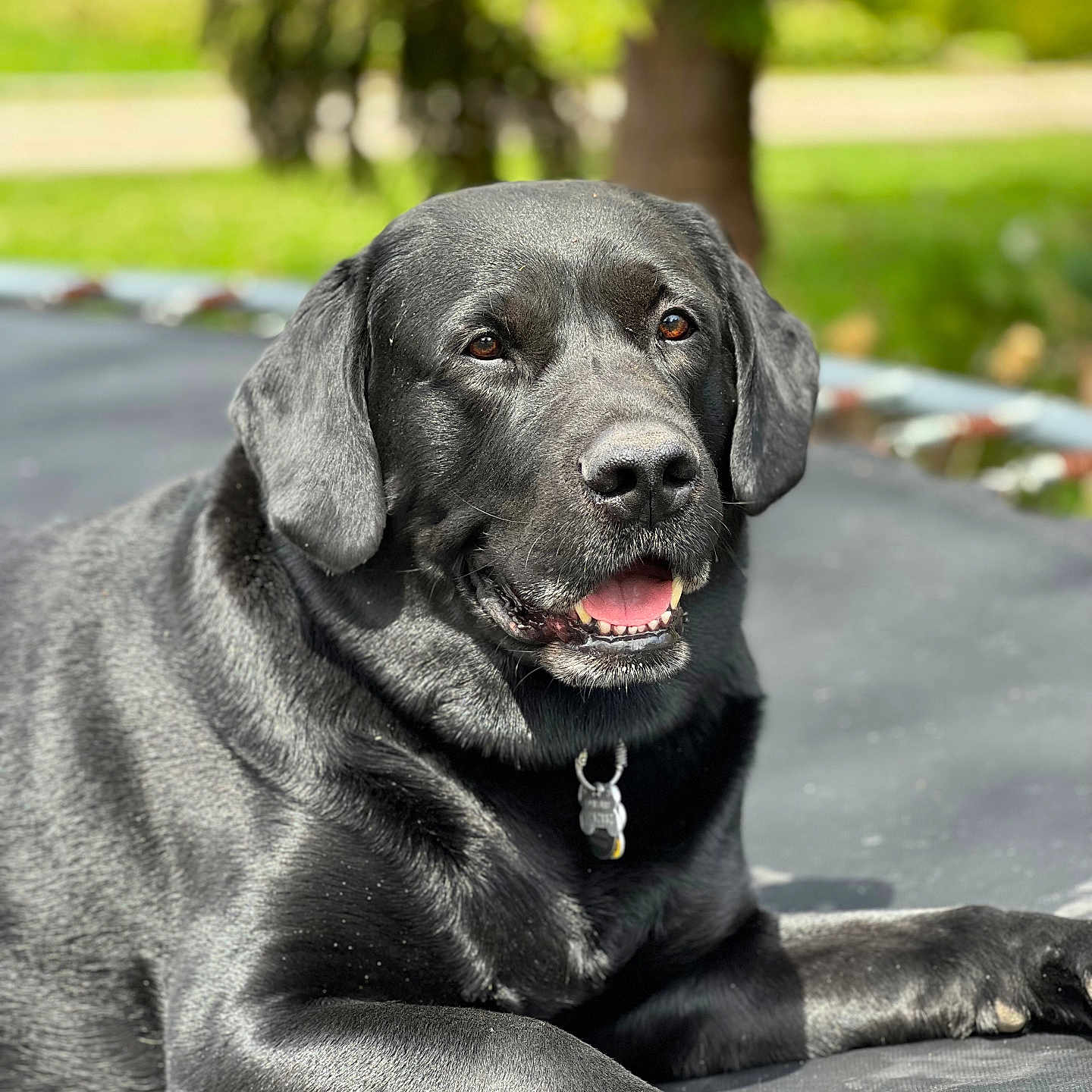 Onyx