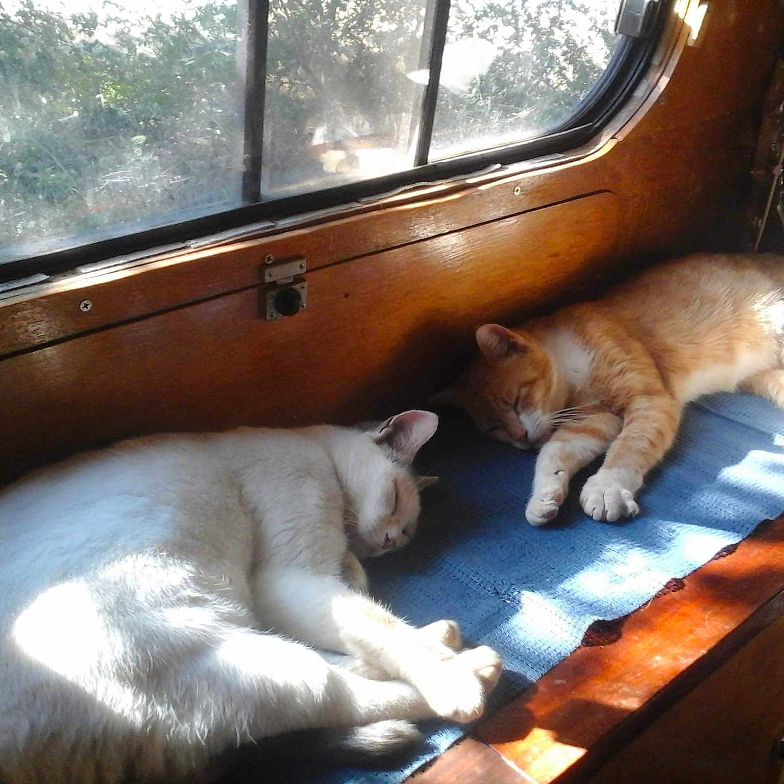 Imala Et Maurice