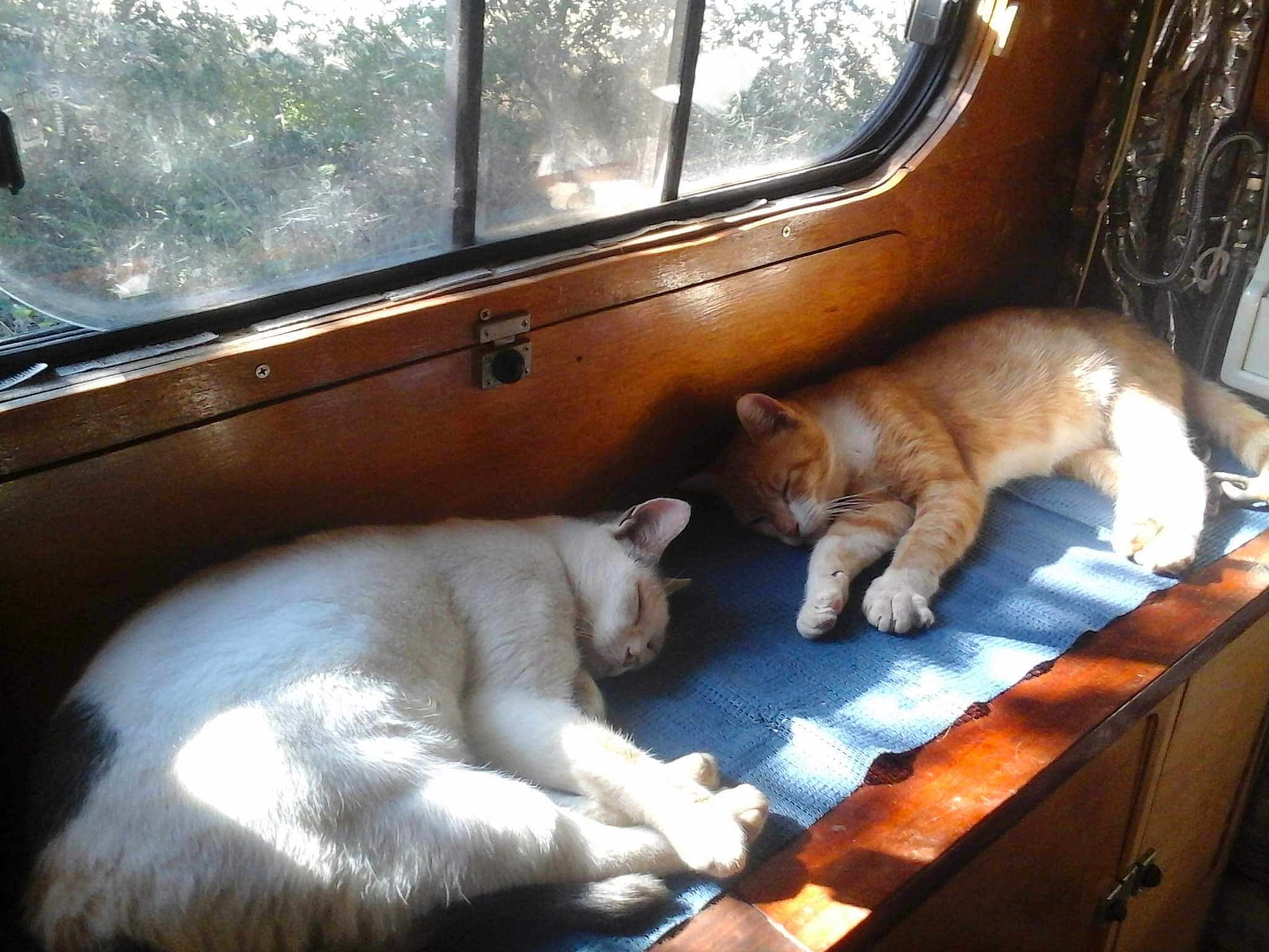 Imala Et Maurice