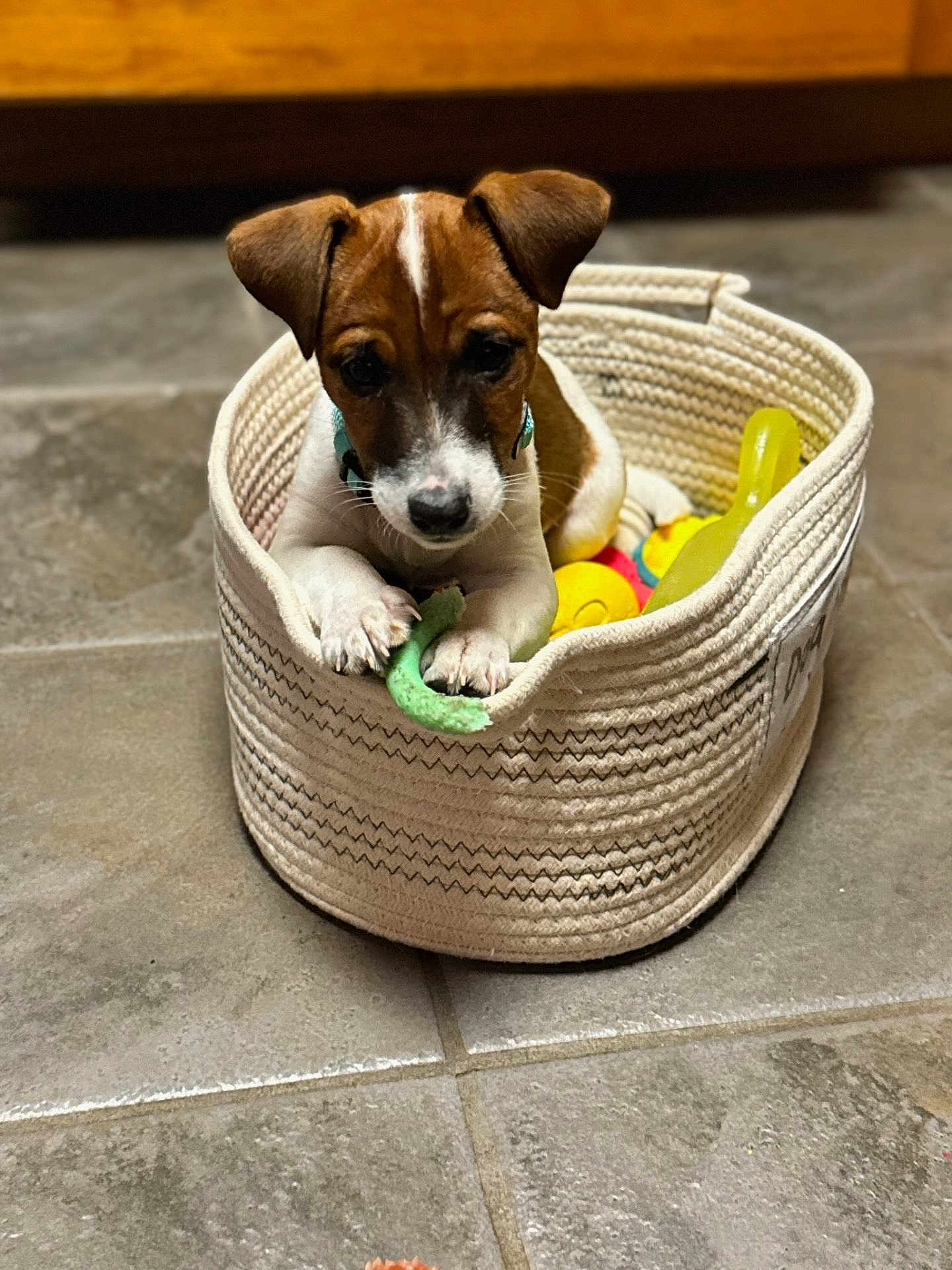 Charlie