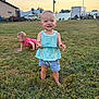child, toddler, grass, outdoor, sunset, smiling, standing, crawling, casual, people, car, building, shorts, shirt, nature, happy, daytime, field, portrait, play