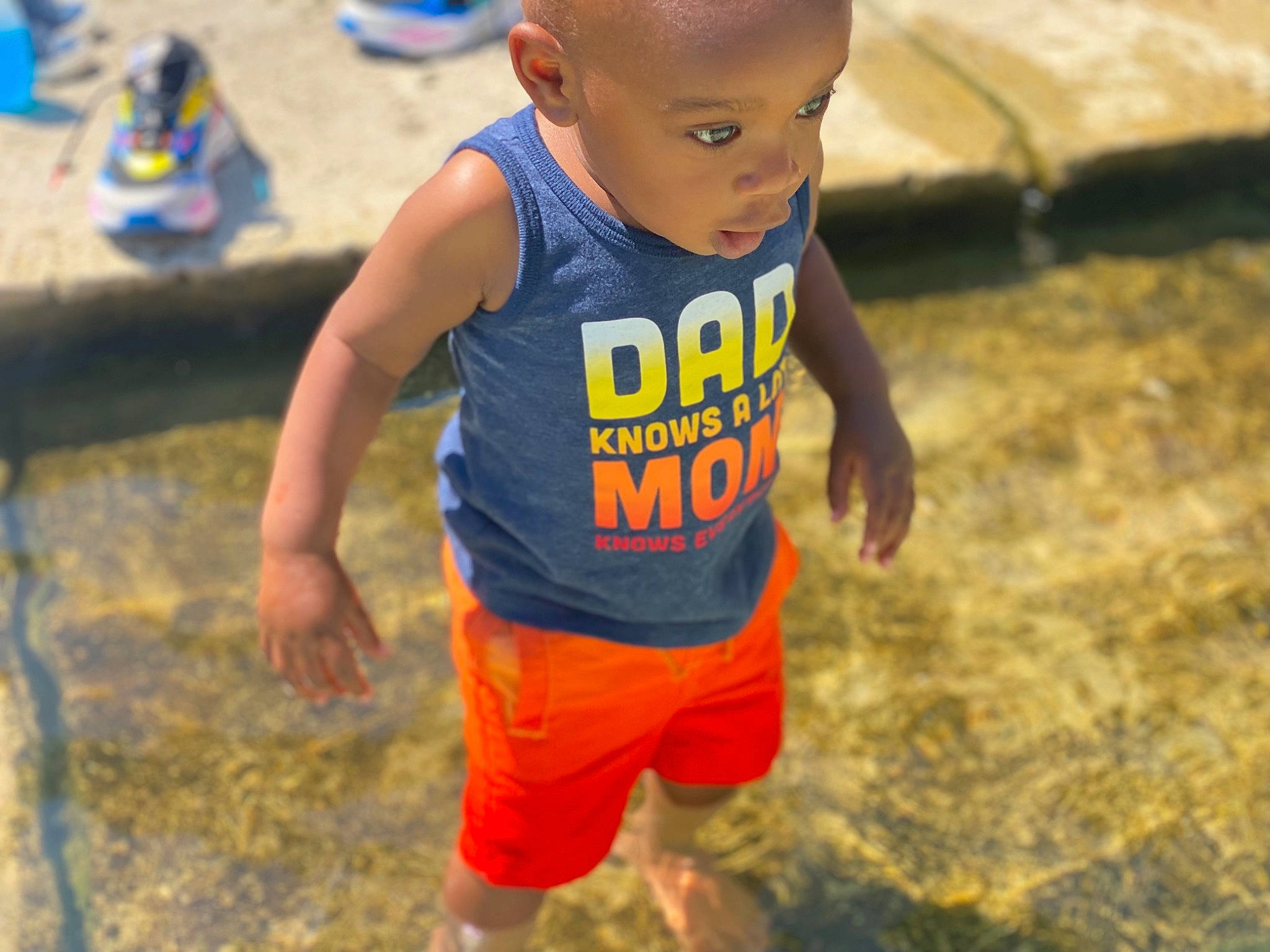 Blaze is registered to the contest to win money with this photo: baby, child, eye, face, flooring, fun, grass, happy, leisure, person, play, recreation, shorts, sitting, smile, soil, summer, t_shirt, toddler, vacation