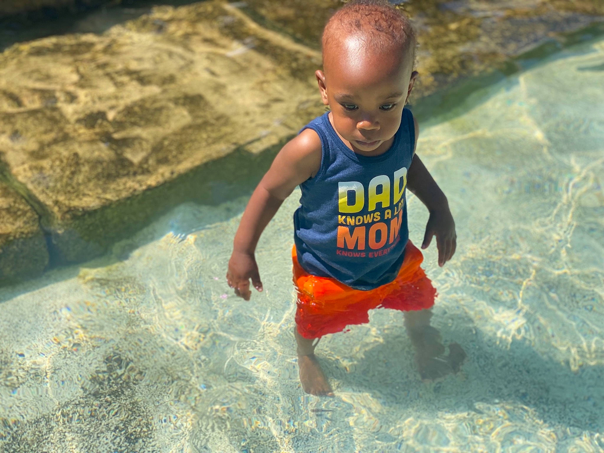 Blaze joined the competition — help win amazing prizes! baby, baby_toddler_clothing, bathing, body_of_water, child, flooring, fun, grass, happy, leisure, person, personal_protective_equipment, play, recreation, sitting, smile, swimming_pool, t_shirt, toddler, water