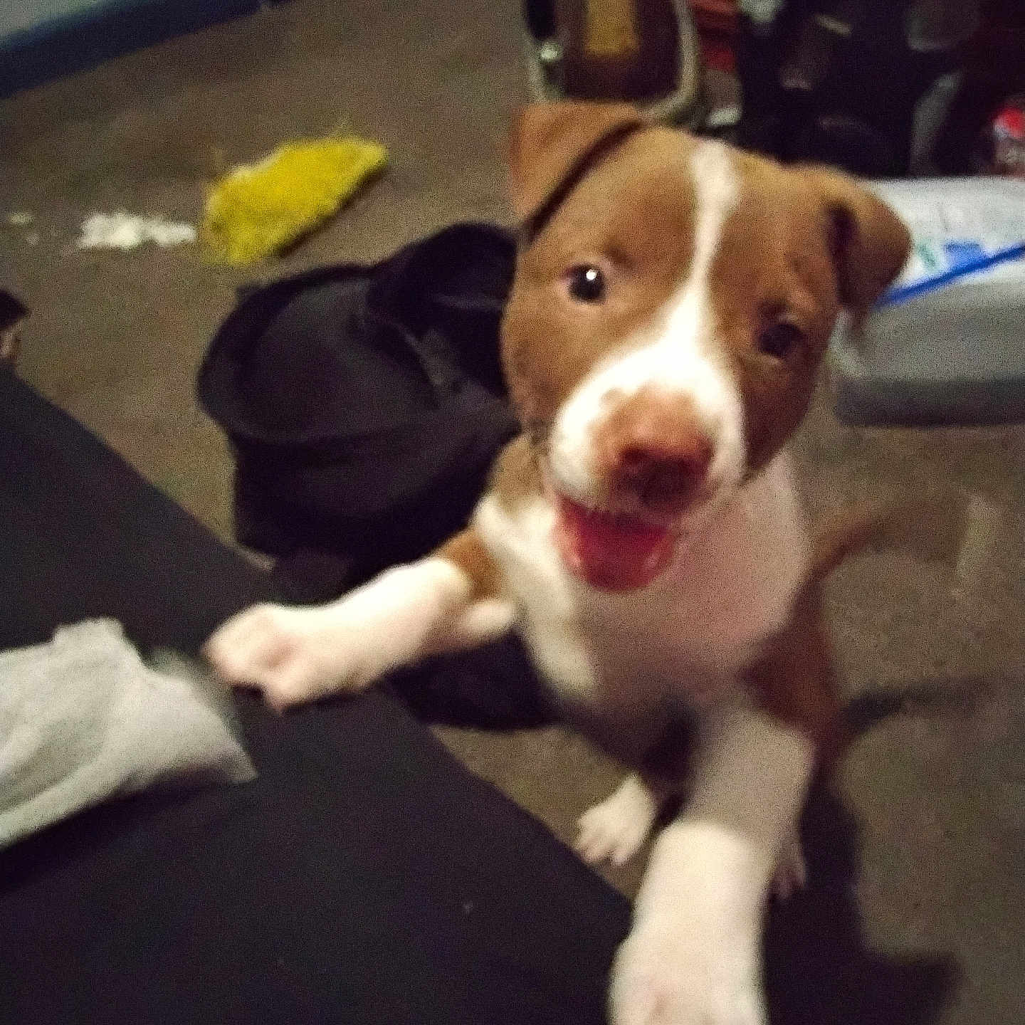 Edison