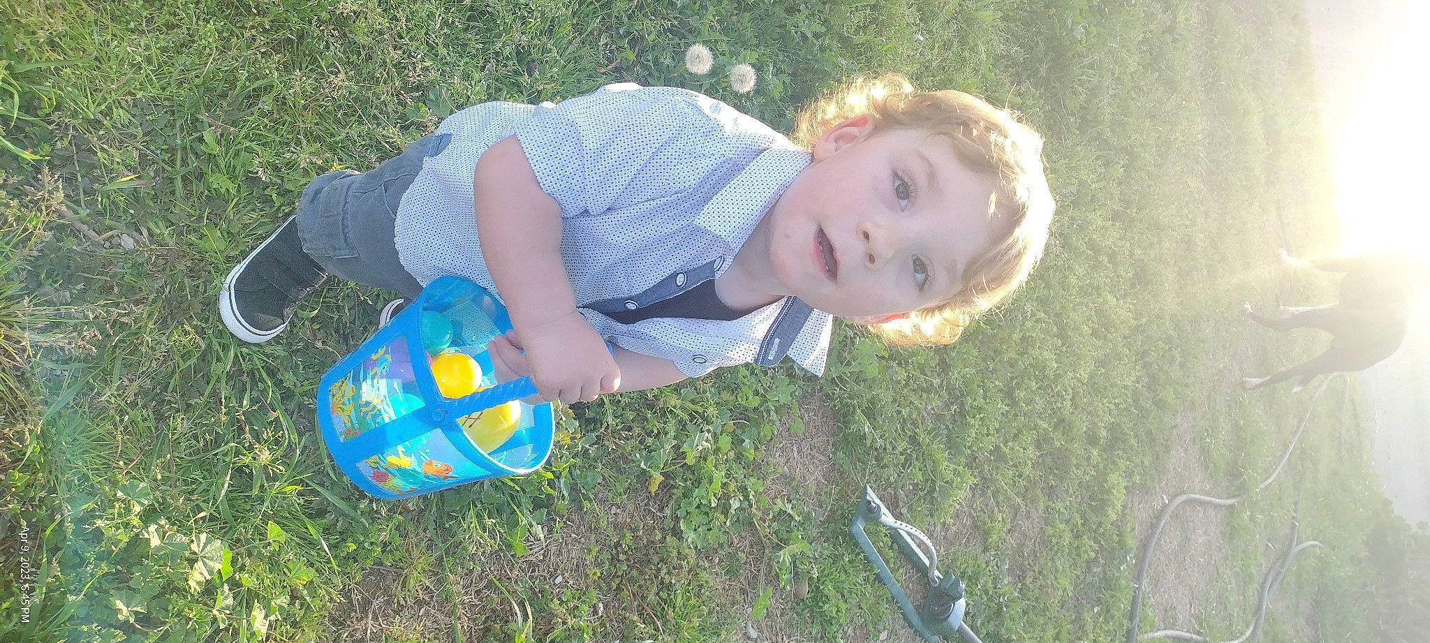 Harley is registered to the contest to win money with this photo: baby, baby_toddler_clothing, child, electric_blue, fun, grass, grass_family, grassland, happy, lawn, leisure, meadow, people_in_nature, person, plant, play, sitting, smile, soil, toddler