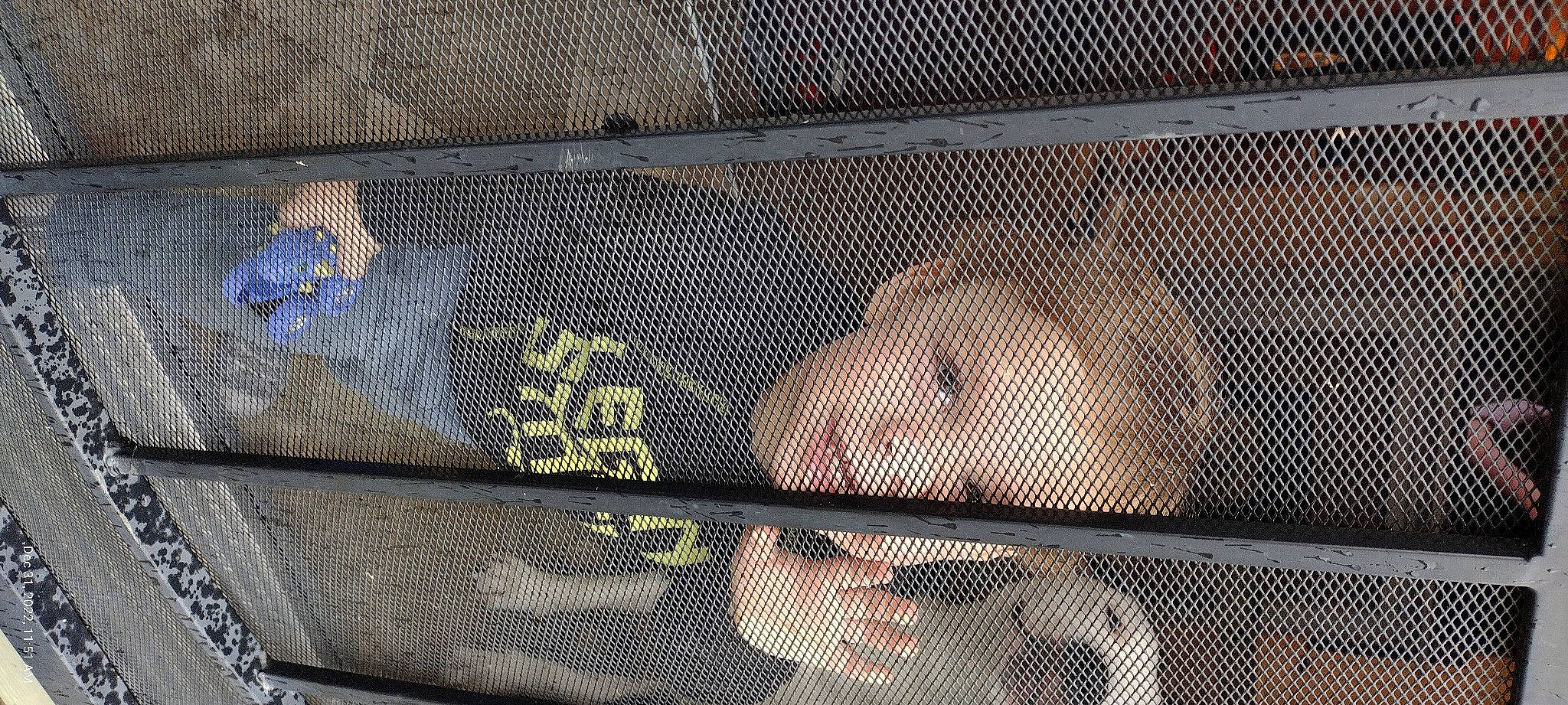 Harley joined the competition — help win amazing prizes! animal_shelter, art, auto_part, automotive_exterior, bag, bumper, cage, chain_link_fencing, font, glass, grille, line, mesh, metal, net, pattern, person, pet_supply, vehicle_door, wire_fencing