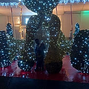 Joffrey participe au concours pour gagner de l'argent avec cette photo : child, night, lights, decoration, holiday, silhouette, outdoor, dark, festive, display, person, illumination, artificial_light, shadow, public_space, structure, blur, celebration, twinkle, background