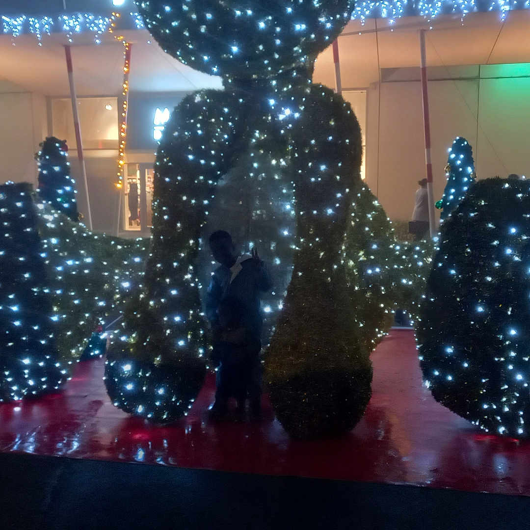 Joffrey participe au concours pour gagner de l'argent avec cette photo : artificial_light, background, blur, celebration, child, dark, decoration, display, festive, holiday, illumination, lights, night, outdoor, person, public_space, shadow, silhouette, structure, twinkle