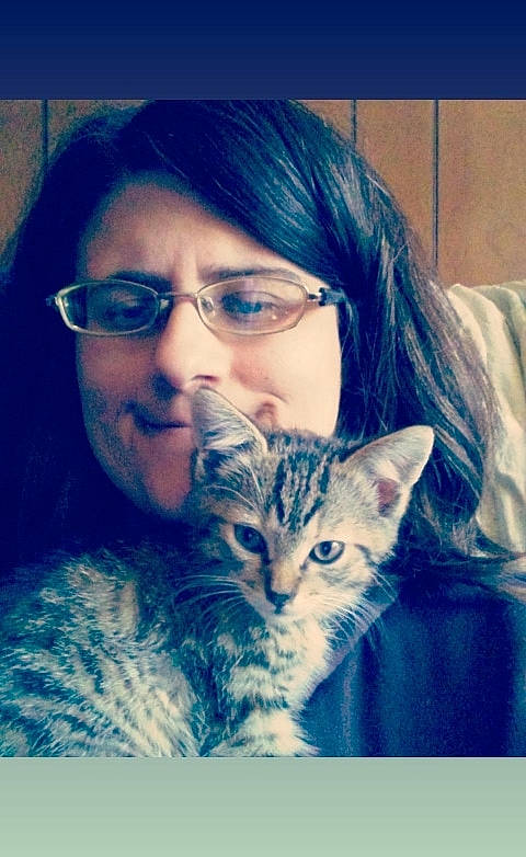 June is registered to the contest to win money with this photo: asian, carnivore, cat, domestic_short_haired_cat, dragon_li, ear, egyptian_mau, european_shorthair, eye, felidae, fur, kitten, nose, photo_caption, photography, pixie_bob, siberian, small_to_medium_sized_cats, tabby_cat, whiskers