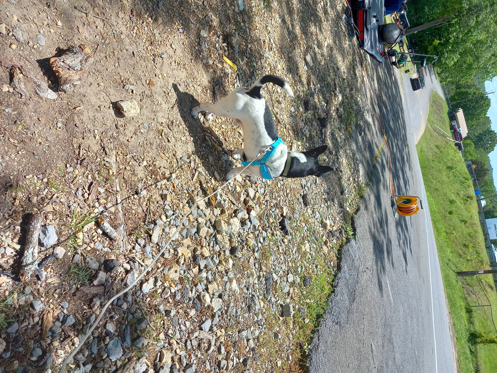 Harley joined the competition — help win amazing prizes! adventure, asphalt, bedrock, extreme_sport, geological_phenomenon, grass, landscape, plant, recreation, road, road_surface, rock, shadow, sidewalk, slope, soil, sport_climbing, tar, tree, wood