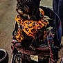 animal, bat_pattern, black_dog, blurred_background, celebration, costume, dog, ears, festival, halloween_costume, leash, nighttime, orange_clothing, outdoor, people, pet, pet_clothing, pumpkin_pattern, skull_pattern, stroller