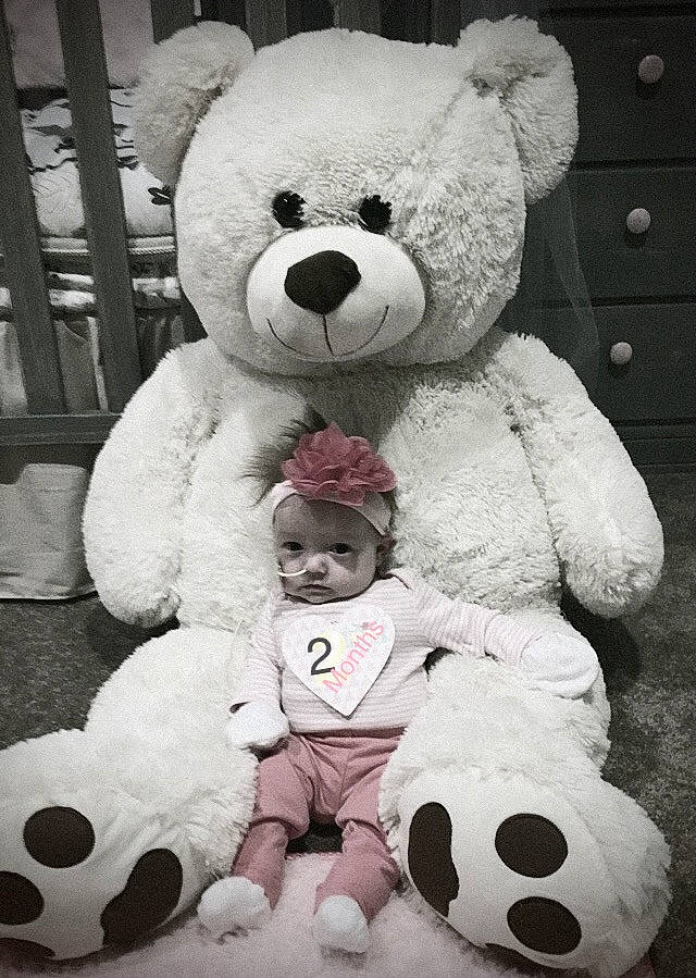 Tilly joined the competition — help win amazing prizes! bear, fur, person, plush, stuffed_toy, teddy_bear, textile, toy