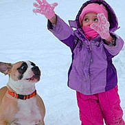 Sarge joined the competition — help win amazing prizes! child, dog, snow, winter, gloves, jacket, hat, scarf, playful, outdoor, cold, pet, animal, fun, young, cute, expression, colorful_clothing, snowy_background, winter_activity