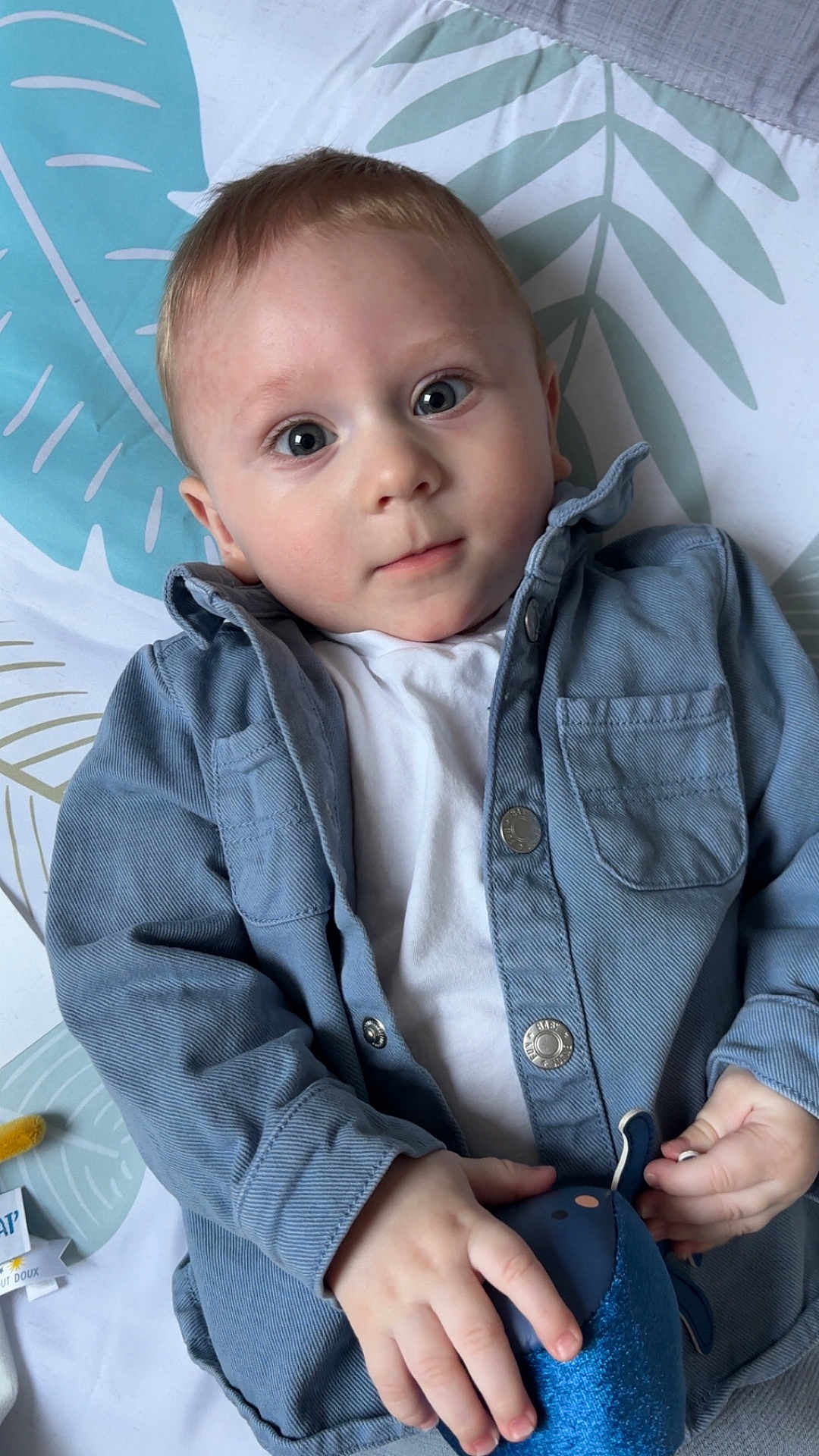élio participe au concours pour gagner de l'argent avec cette photo : baby, child, infant, blue_jacket, white_shirt, stuffed_toy, hand, face, eyes, blanket, pattern, leaf_pattern, curious, lying_down, portrait, indoor, cute, soft_light, casual_clothing, young