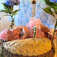 Amaya joined the competition — help win amazing prizes! newborn, baby, sleeping, portrait, basket, wicker, flowers, artificial_flowers, balloons, pink_dress, headband, blanket, lace, nursery, baby_photography, indoors, decorated_set, peaceful, floral, infant