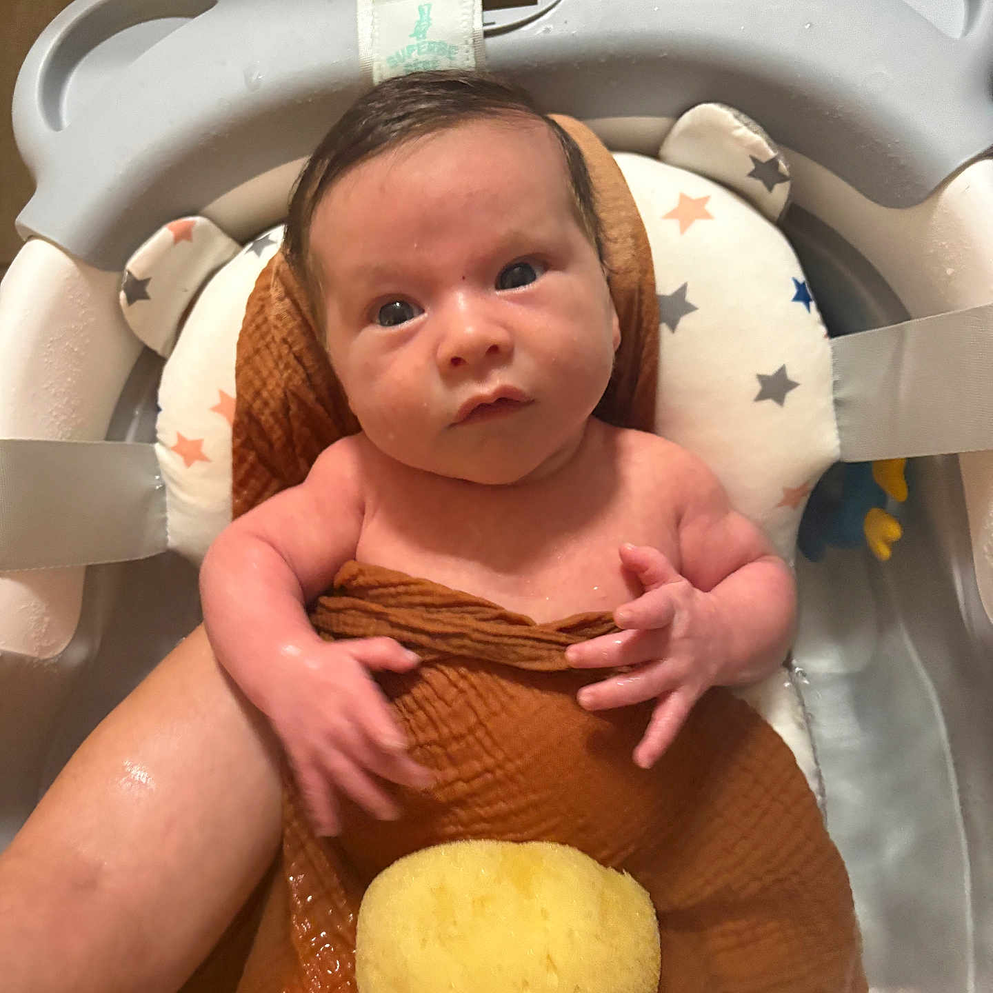 Eyden a rejoint le concours — aidez-le/la à gagner de superbes lots ! baby, bath, bathroom, bathtub, child, cute, expression, face, hand, indoors, infant, looking, newborn, person, seat, skin, sponge, towel, water, wet