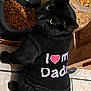 Munchies is registered to the contest to win money with this photo: black_cat, cat, cute, domestic, feeding_area, feline, food_bowl, heart_graphic, indoor, kibble_jar, looking_up, mealtime, pet, pet_clothing, pet_food, pointed_ears, shirt, tile_floor, whiskers, yellow_eyes
