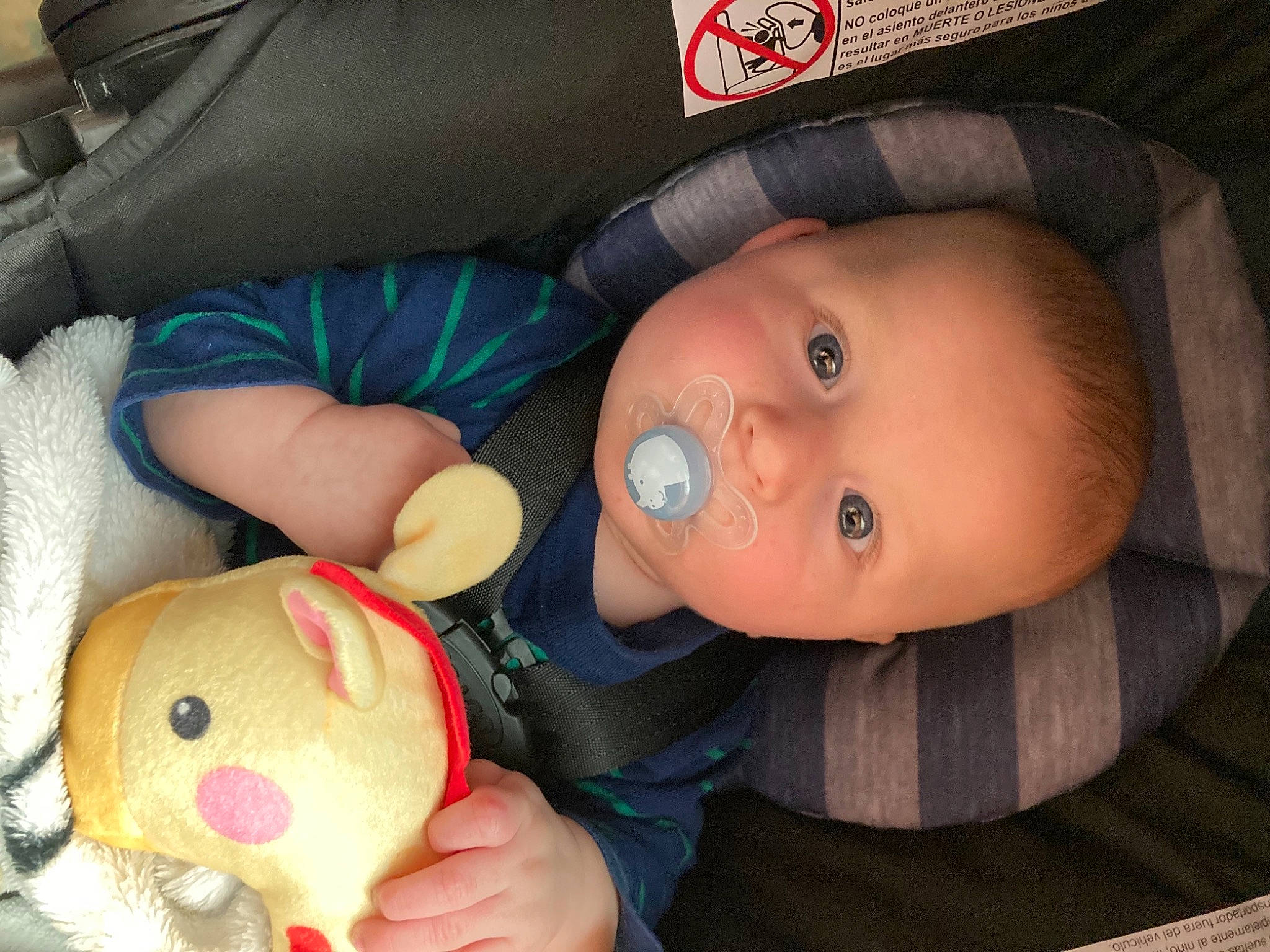 Stryker is registered to the contest to win money with this photo: baby, baby_products, baby_toddler_clothing, baby_toys, cap, cheek, comfort, person, plush, stuffed_toy, toy