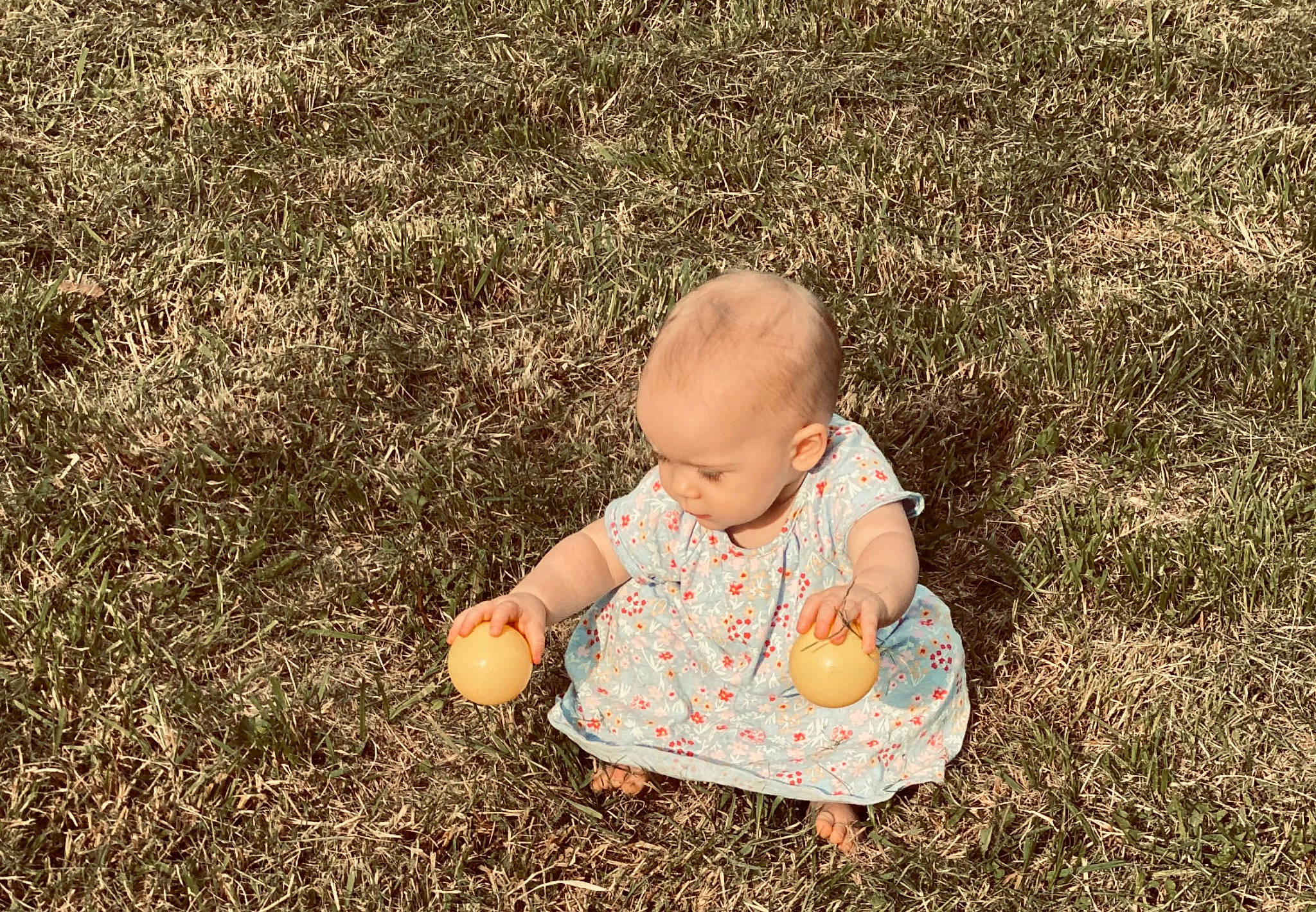Briar is registered to the contest to win money with this photo: baby, baby_toddler_clothing, child, crawling, dress, fun, grass, grass_family, grassland, happy, lawn, pattern, people_in_nature, person, plant, playing_with_kids, sitting, soil, toddler, tree
