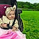 Maddison