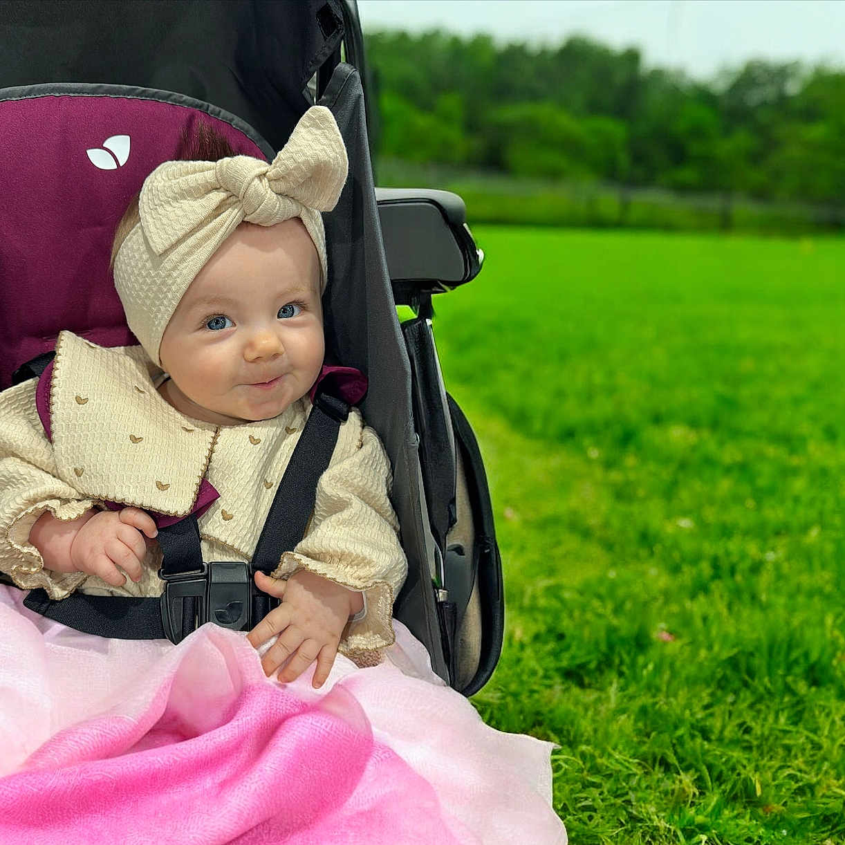 Maddison