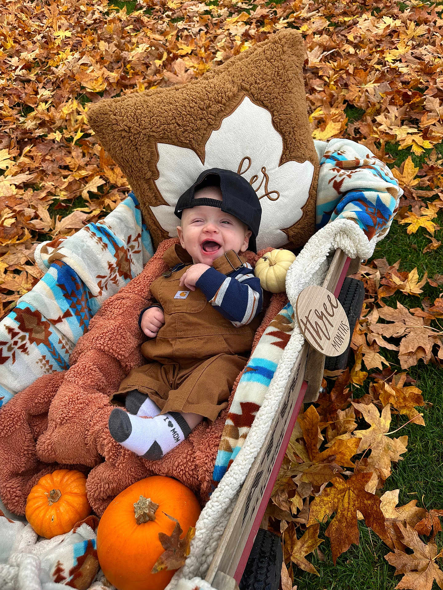 Colt is registered to the contest to win money with this photo: baby, child, pumpkin, autumn_leaves, blanket, wagon, fall, cap, overalls, grass, smiling, cozy, cute, outdoor, seasonal, orange, brown, white, patterned_blanket, happy