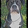 Bruce