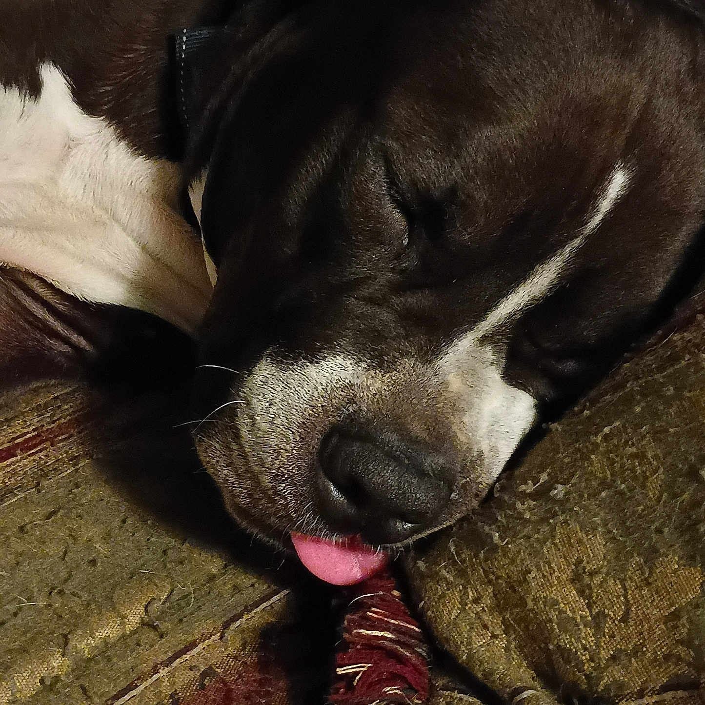 Bruce