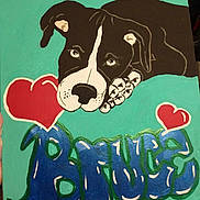 Bruce is registered to the contest to win money with this photo: animal_art, art, black_and_white, blue, canine, colorful, decor, dog, expression, graffiti, heart, illustration, mural, painting, paw, portrait, red, stylized, text, turquoise_background