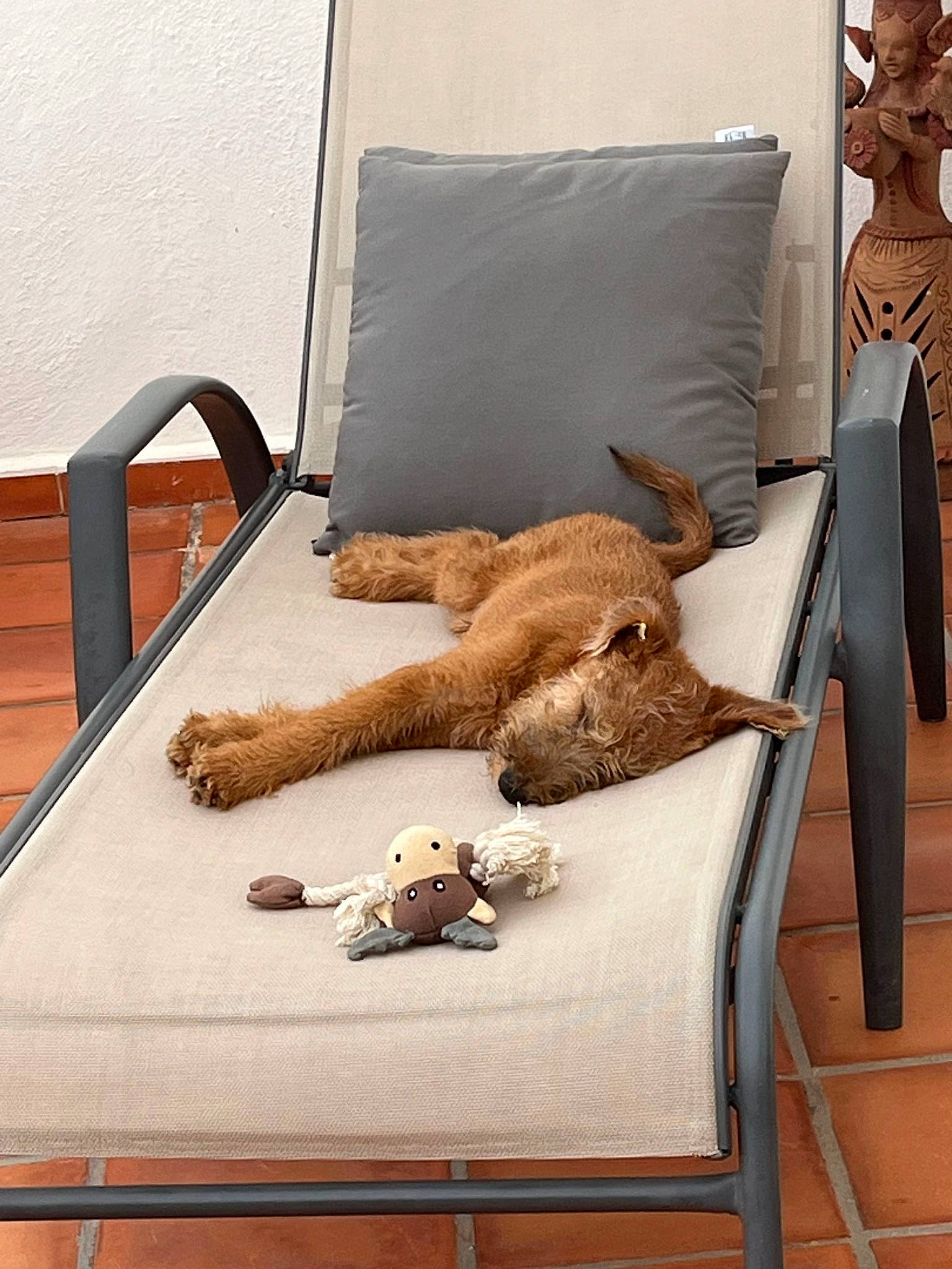 Utwo participe au concours pour gagner de l'argent avec cette photo : armrest, chair, comfort, companion_dog, couch, dog, fawn, floor, flooring, furniture, hardwood, linens, pillow, rectangle, sofa_bed, studio_couch, stuffed_toy, toy, wood, working_animal