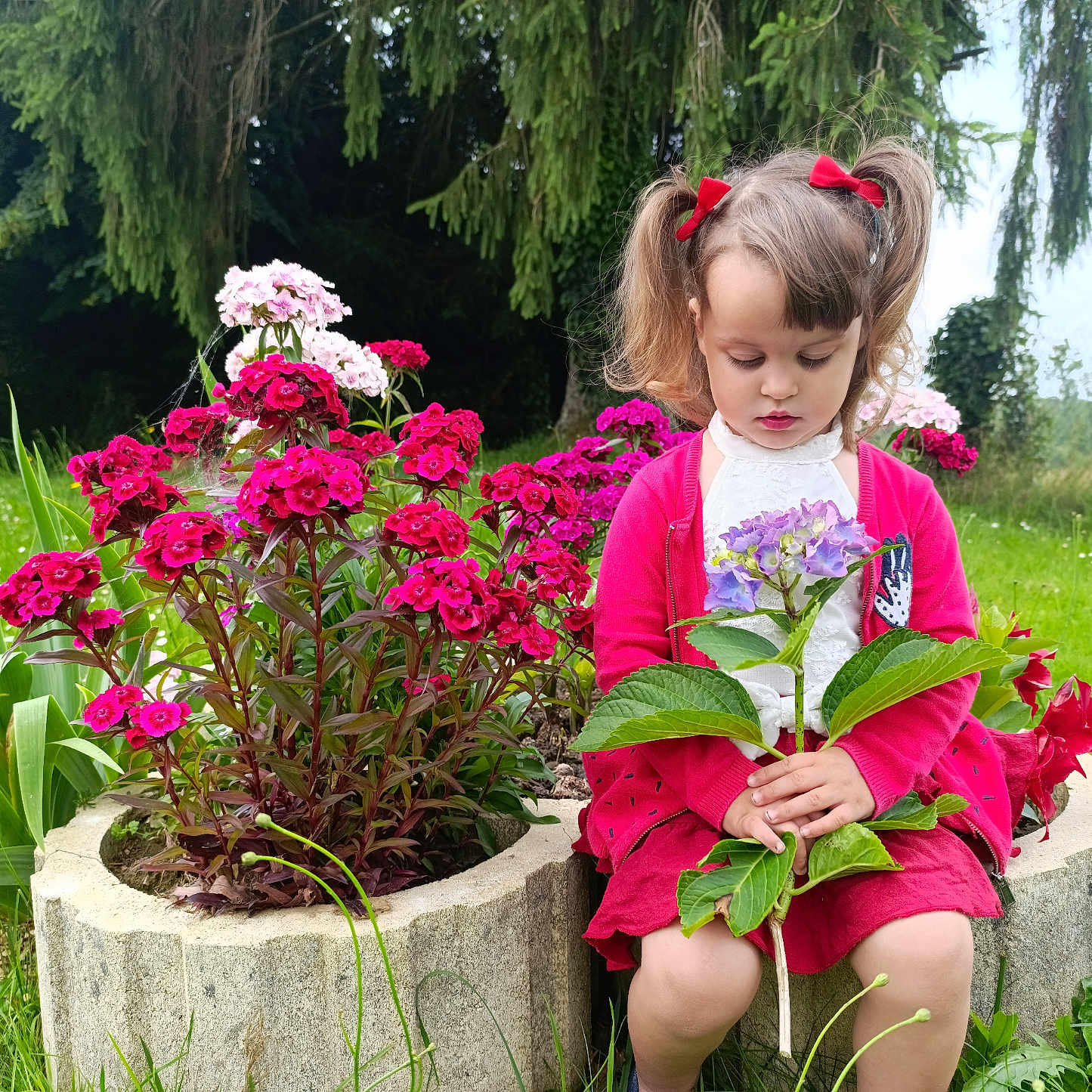 Louna a rejoint le concours — aidez-le/la à gagner de superbes lots ! child, daylight, flower, garden, girl, grass, greenery, hair_bows, nature, outdoor, peaceful, pink_flowers, plant, ponytails, portrait, purple_flower, red_clothing, sitting, stone_planter, tree