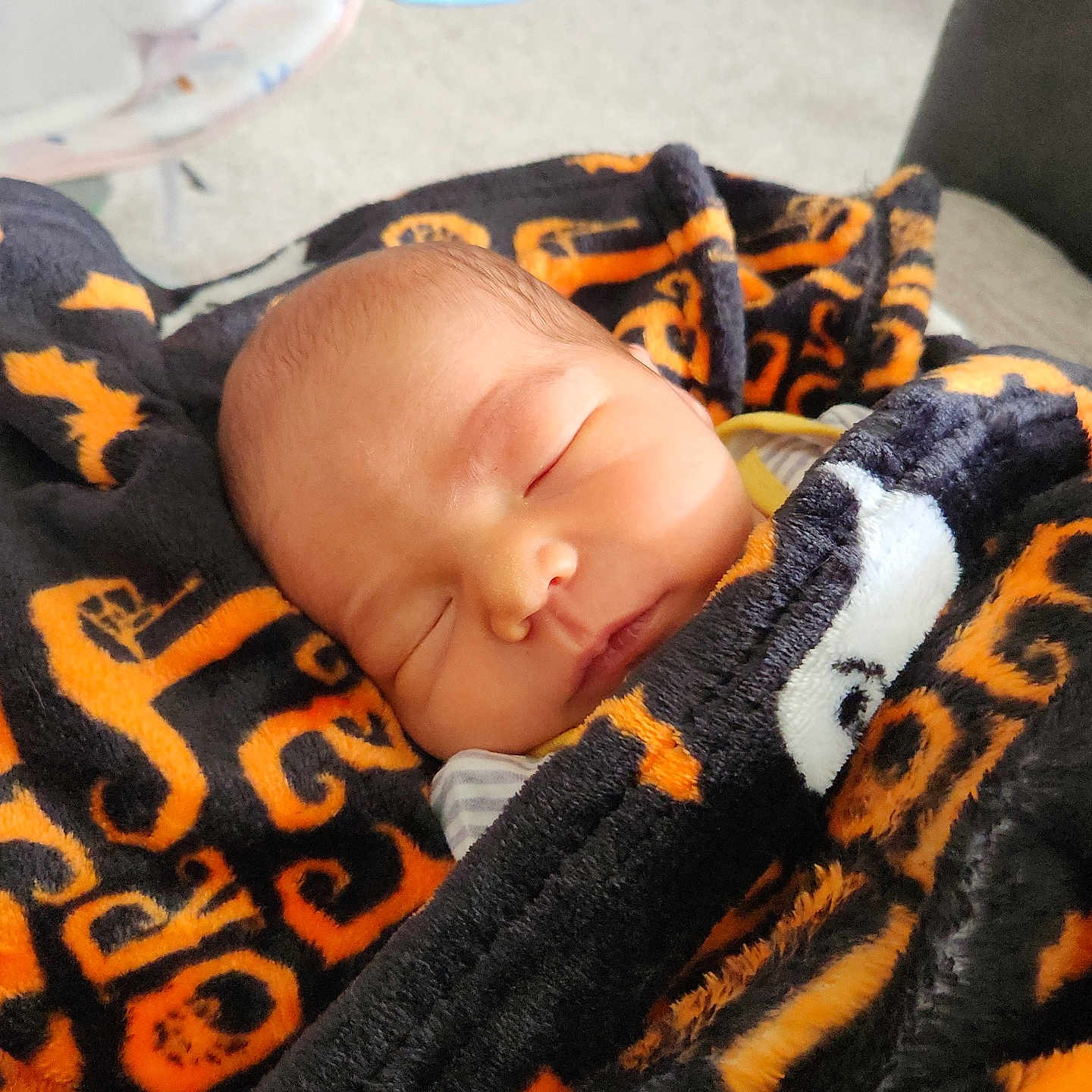Silas is registered to the contest to win money with this photo: newborn, baby, sleeping, infant, face, portrait, blanket, wrapped, cozy, indoors, peaceful, resting, closed_eyes, nose, mouth, head, soft_fabric, orange, black, candid