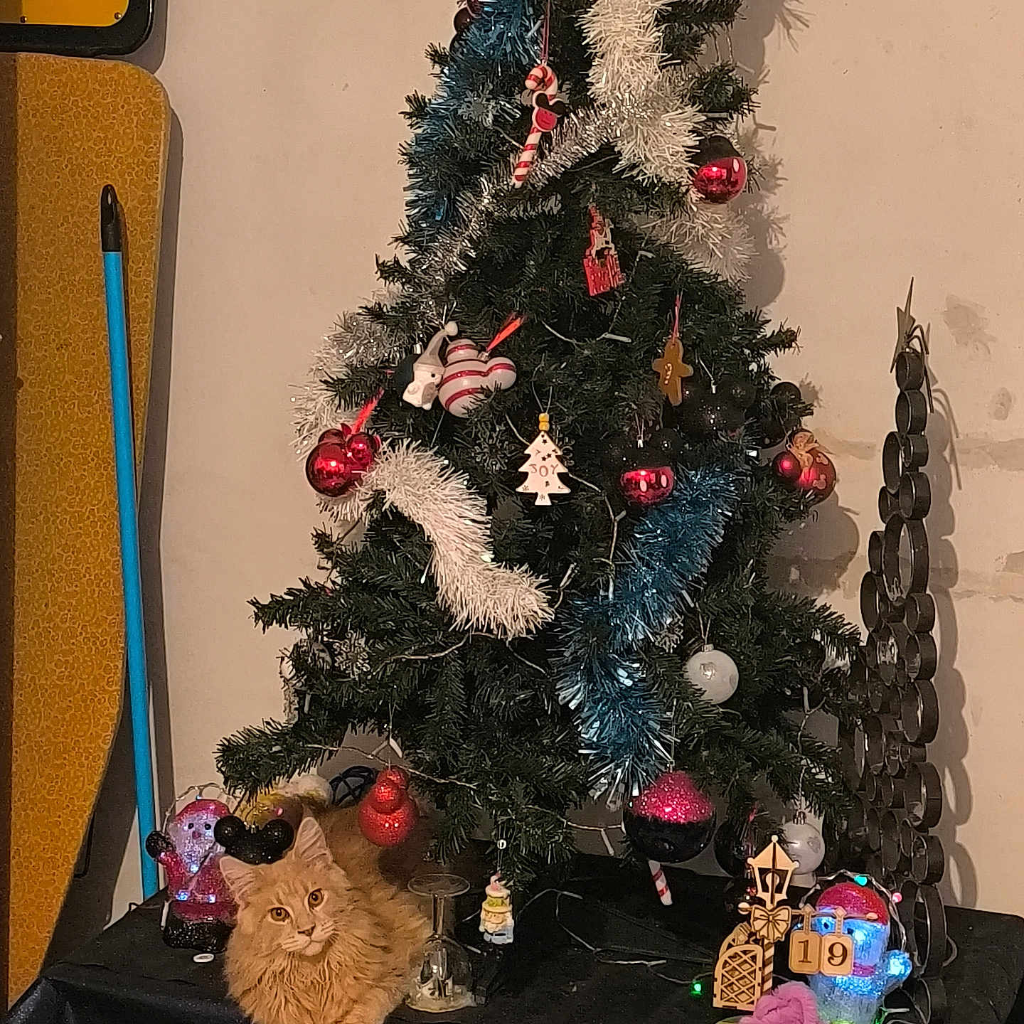 Aupale a rejoint le concours — aidez-le/la à gagner de superbes lots ! black_tablecloth, broom, cat, christmas_tree, decoration, festive, festivity, fluffy_cat, furniture, holiday, holiday_decorations, home, indoor, ironing_board, lights, orange_cat, ornaments, relaxing_cat, table, tinsel