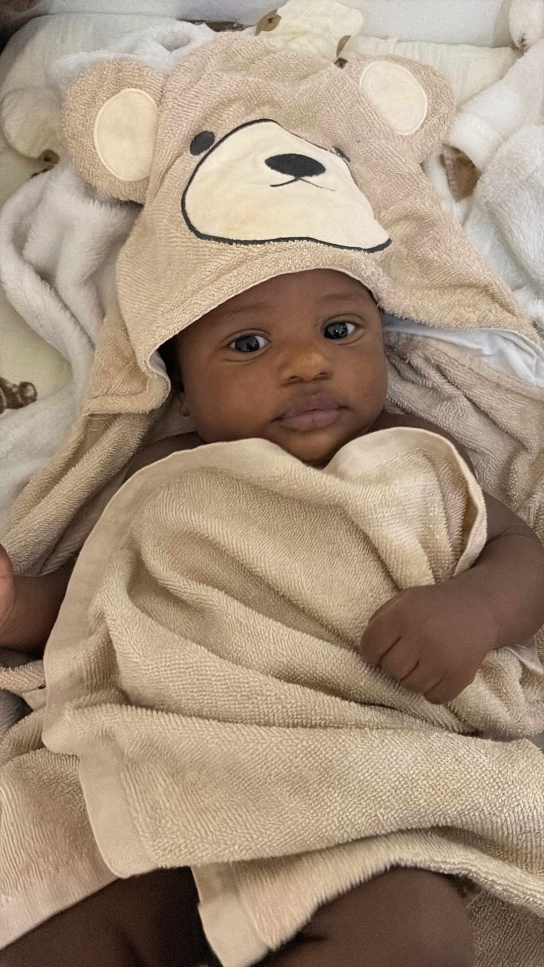 Zeus a rejoint le concours — aidez-le/la à gagner de superbes lots ! baby, towel, hooded_towel, bear_design, infant, blanket, soft_texture, cute, child, wrapped, sleepwear, indoor, portrait, skin, hand, face, eyes, lying_down, comfort, warm