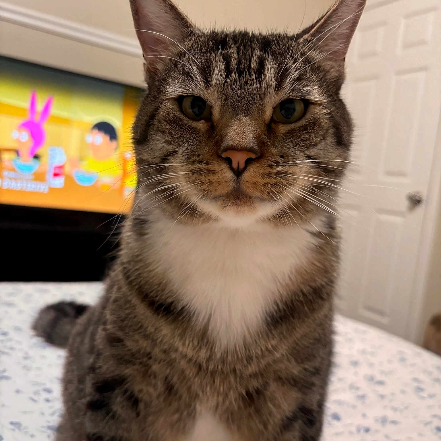 Jax